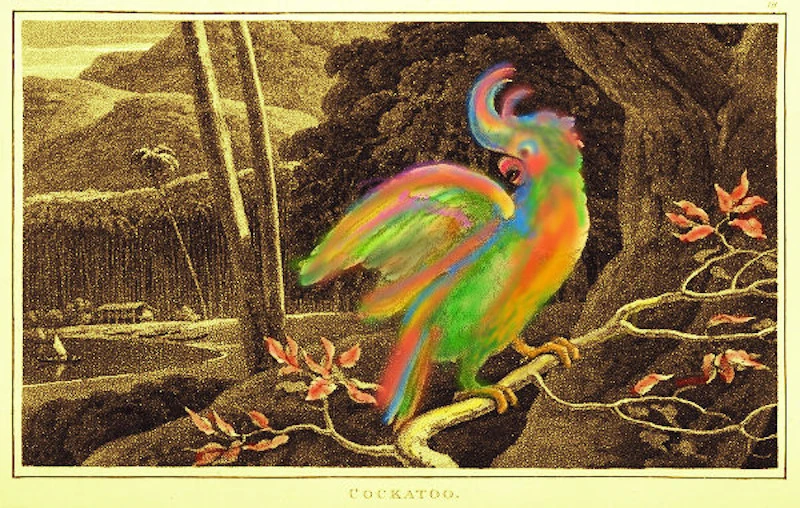 Biologieunterricht - Pflanzen, Wald & Genetik